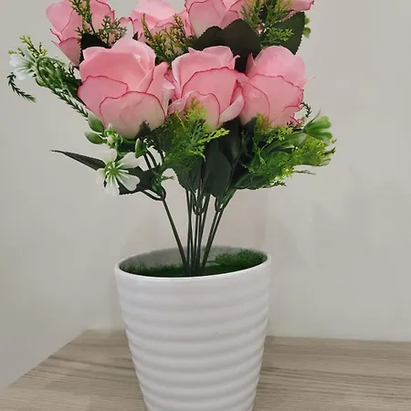 Apartment Della Valle