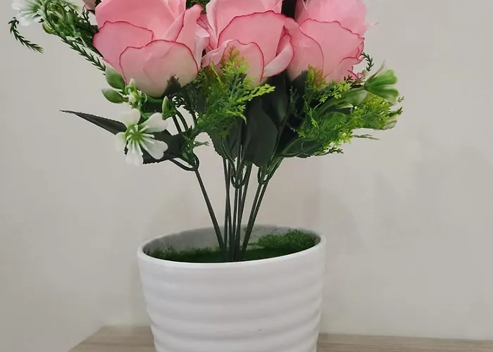 Appartement Della Valle